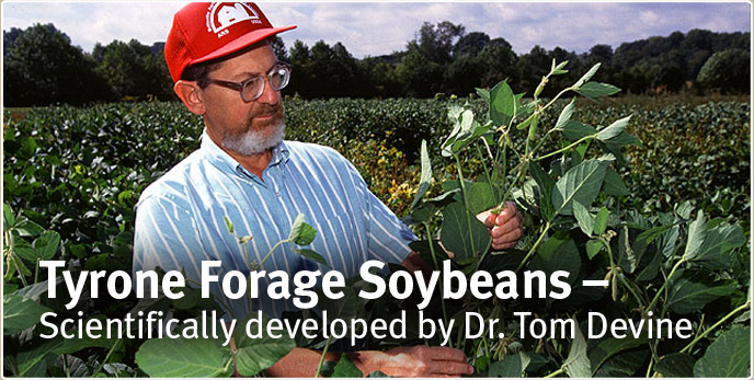 Tyrone Forage Soybeans - Scientifically developed by Dr. Tom Devine